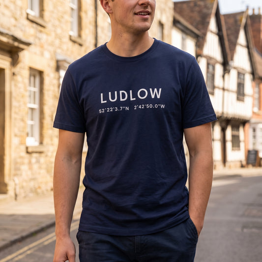 Ludlow — Coordinates Navy Tee