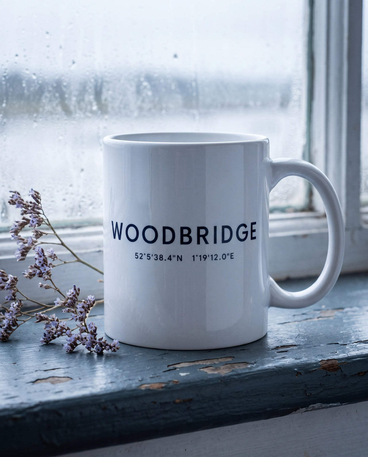 Your Town Merch — Woodbridge Coordinates Ceramic Mug lifestyle