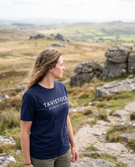 Tavistock — Coordinates Navy Tee
